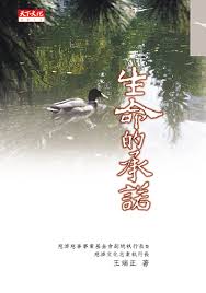 女主一穿越就肉的小说影视海报