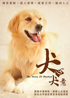 怪盗山猫影视海报