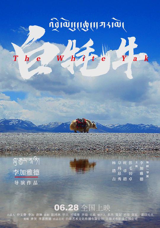直立行走影视海报